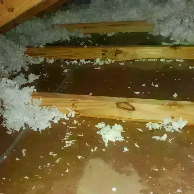 Attic Water Damage in Grant County, OK