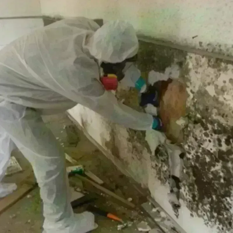 Mold Remediation and Removal in Grant County, OK