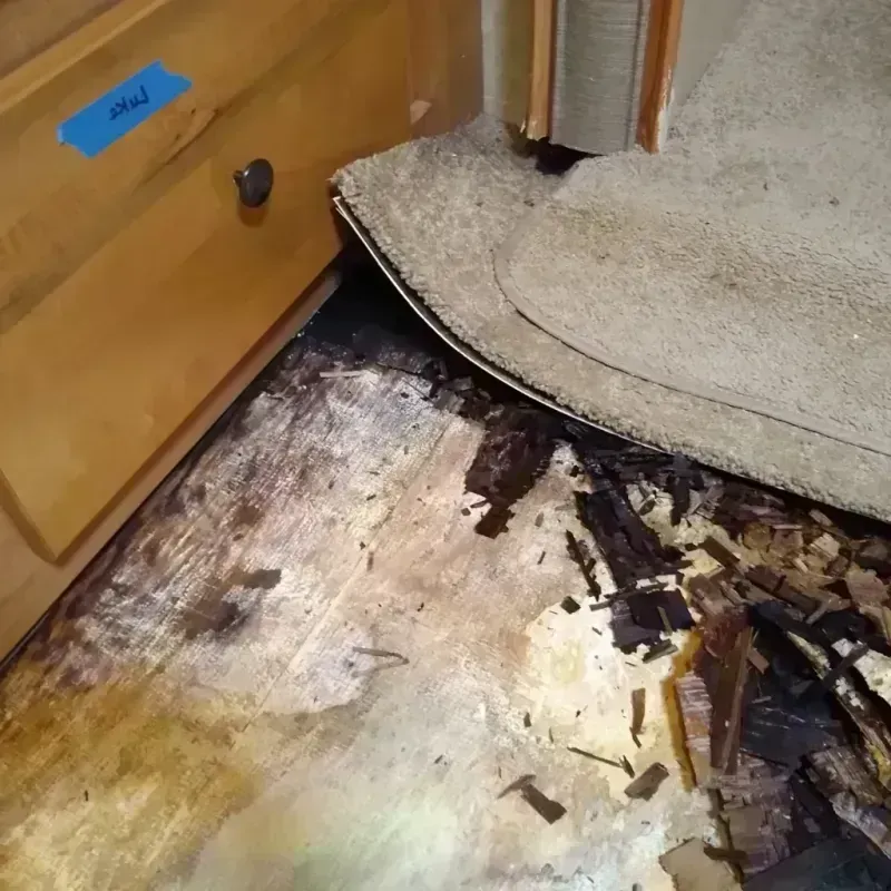 Wood Floor Water Damage in Grant County, OK